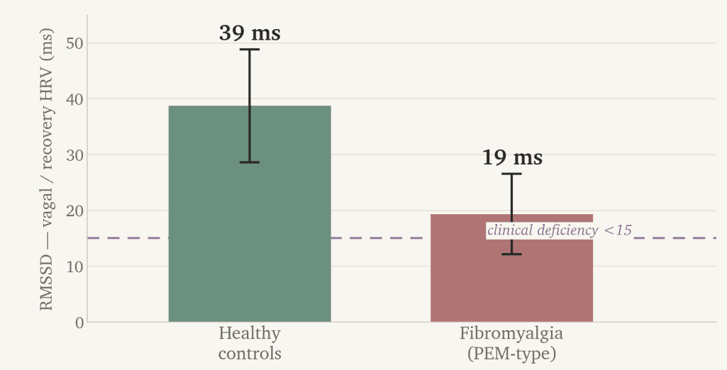 Bar chart of RMSSD vagal recovery HRV: healthy controls at 39 ms versus fibromyalgia at 19 ms, close to the clinical deficiency line below 15 ms.