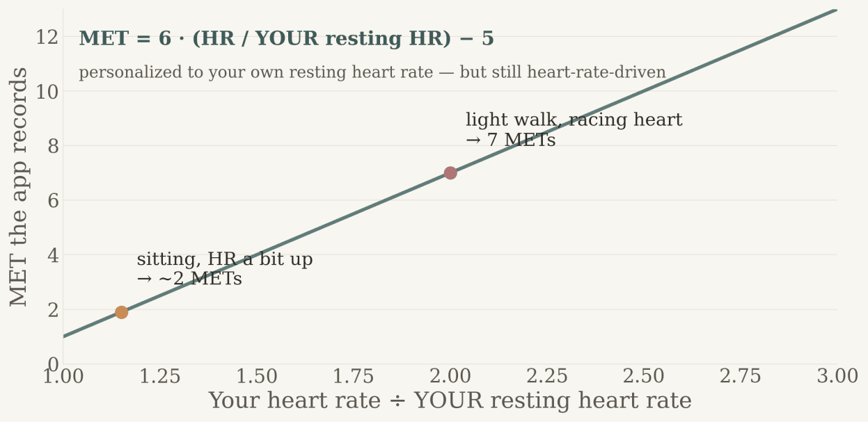 A straight line showing MET rising with the ratio of your heart rate to your own resting heart rate: sitting with heart rate a bit up reads about 2 METs, a light walk with a racing heart reads about 7 METs.