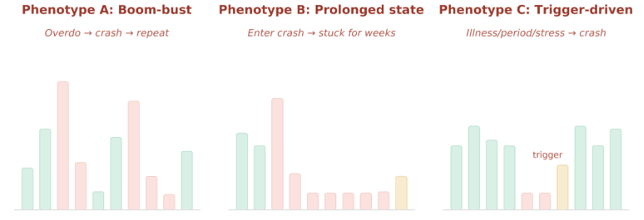 Three crash patterns shown as daily activity bar charts: Phenotype A boom-bust (overdo → crash → repeat), Phenotype B prolonged state (enter crash → stuck for weeks), and Phenotype C trigger-driven (illness/period/stress → crash).